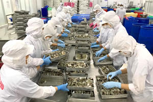 Hàng loạt doanh nghiệp thuỷ sản báo lỗ