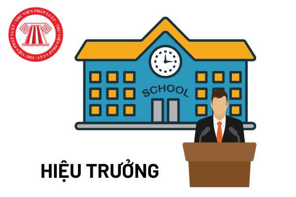 Chủ tịch Hội đồng trường và Hiệu trưởng, ai thực sự 'nắm quyền' tại những trường tư thục?