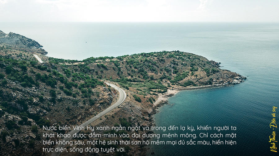 quote1weba