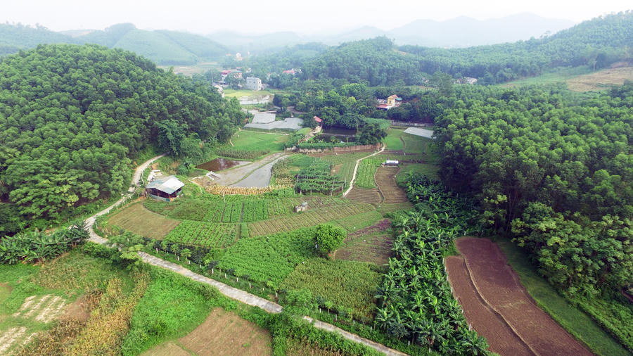 Trang trại Flycam