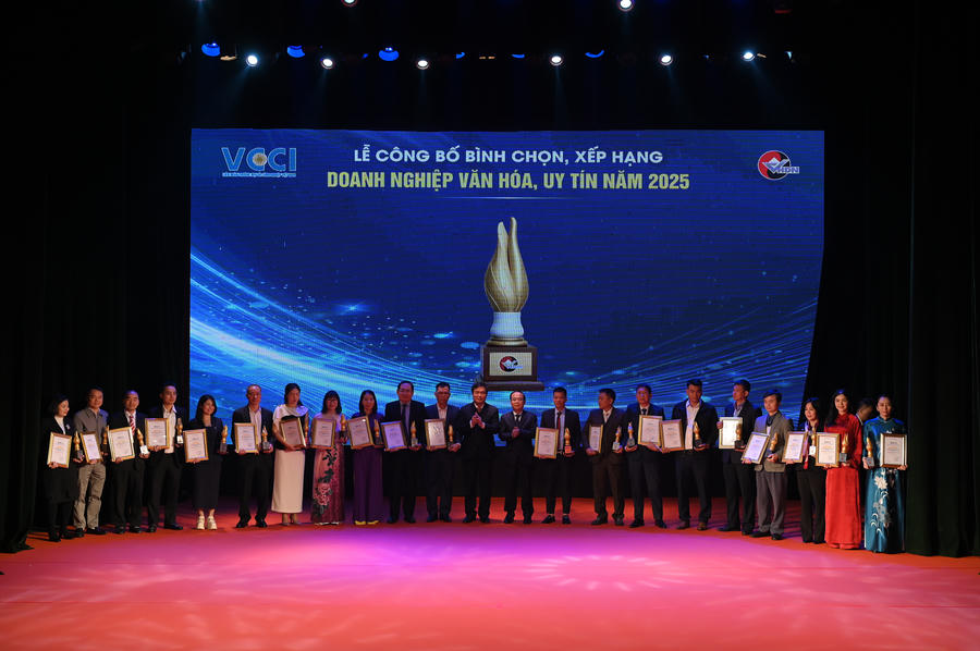 Top 20 doanh nghiệp tiêu biểu có thứ hạng cao nhất được trao Bằng khen của Chủ tịch VCCI.
