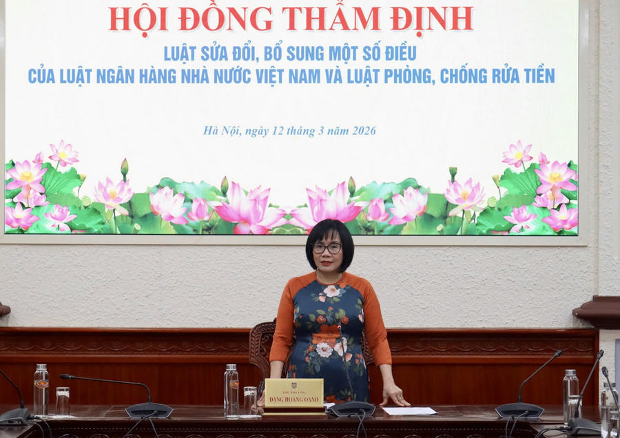 Thứ trưởng Bộ Tư pháp Đặng Hoàng Oanh phát biểu kết luận.
