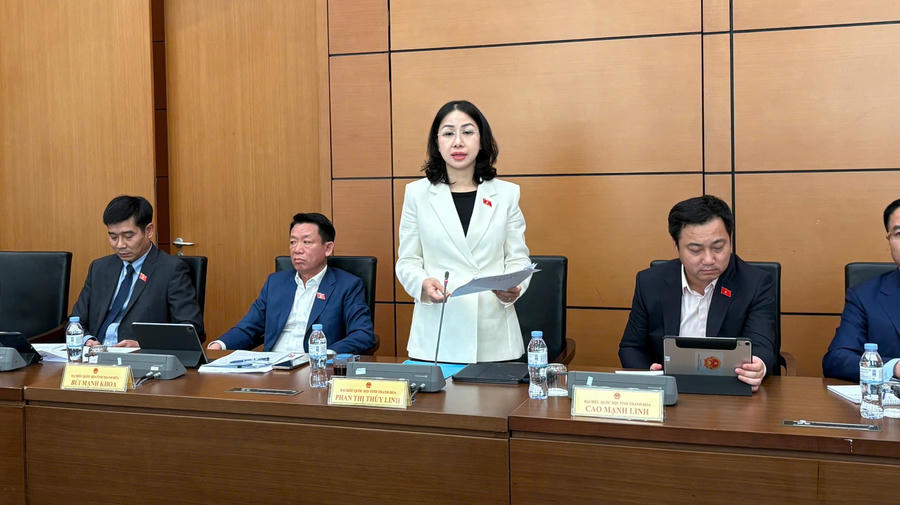 Đại biểu Phan Thị Thuỳ Linh phát biểu tại phiên họp.