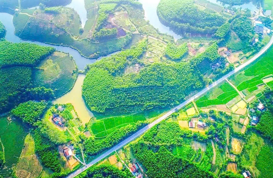 Đảo chè Cầu Cau là một trong những nơi được kỳ vọng phát triển du lịch tại Nghệ An. (Ảnh: CSCC) Đảo chè Cầu Cau là một trong những nơi được kỳ vọng phát triển du lịch tại Nghệ An. (Ảnh: CSCC)