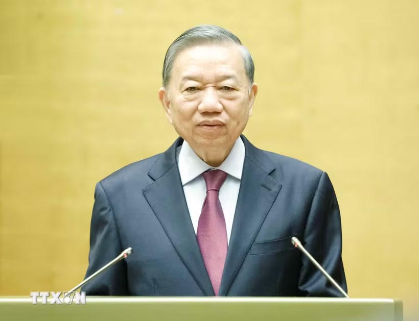 Tổng Bí thư, Chủ tịch nước Tô Lâm àm Trưởng Ban Chỉ đạo Trung ương về đối ngoại và hội nhập quốc tế. (Ảnh: TTXVN)