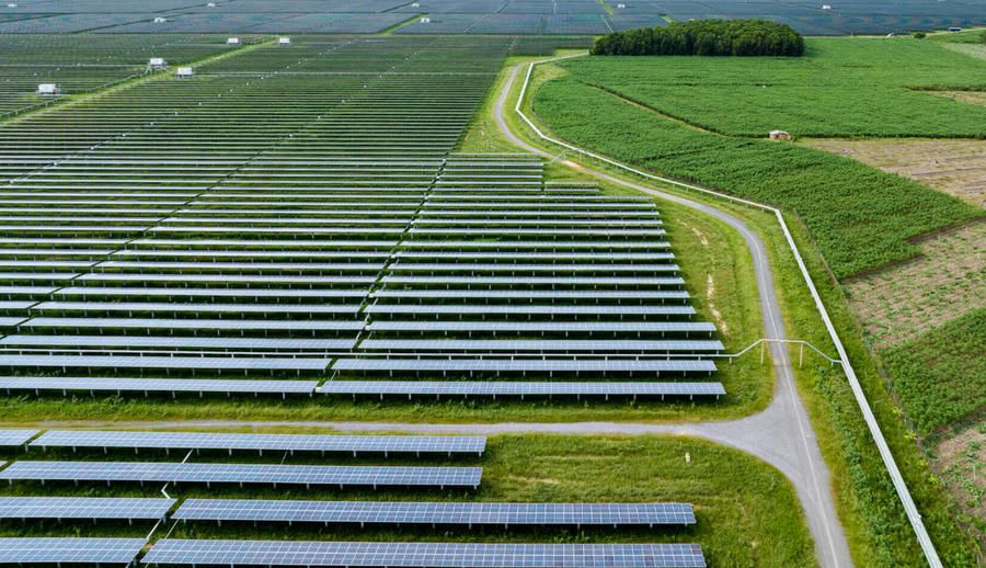 Ảnh minh hoạ.