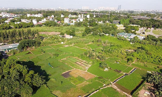 Ảnh minh họa. (Nguồn: VGP)