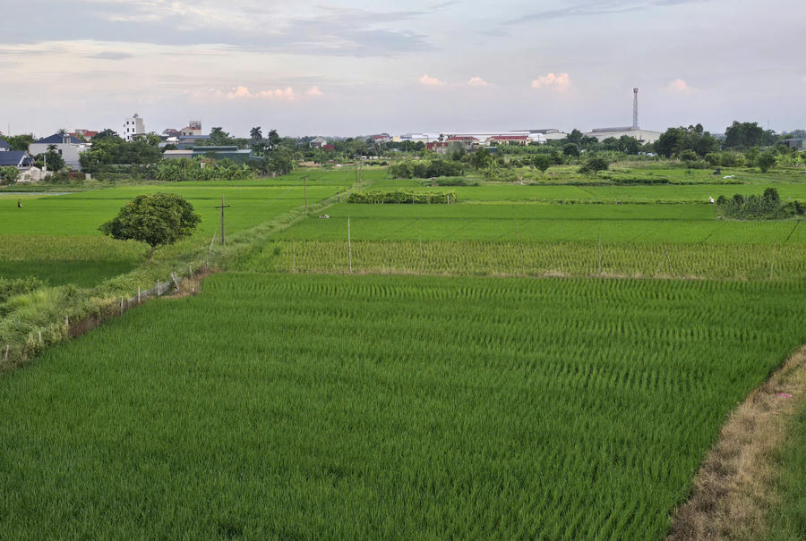 Ảnh minh họa. (Ảnh: Đoàn Chi)