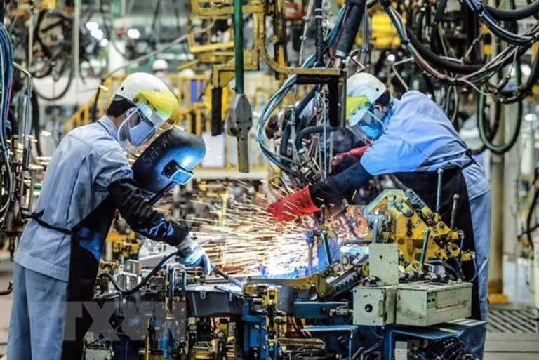 Ảnh minh họa: Sở Khoa học và Công nghệ Hồ Chí Minh