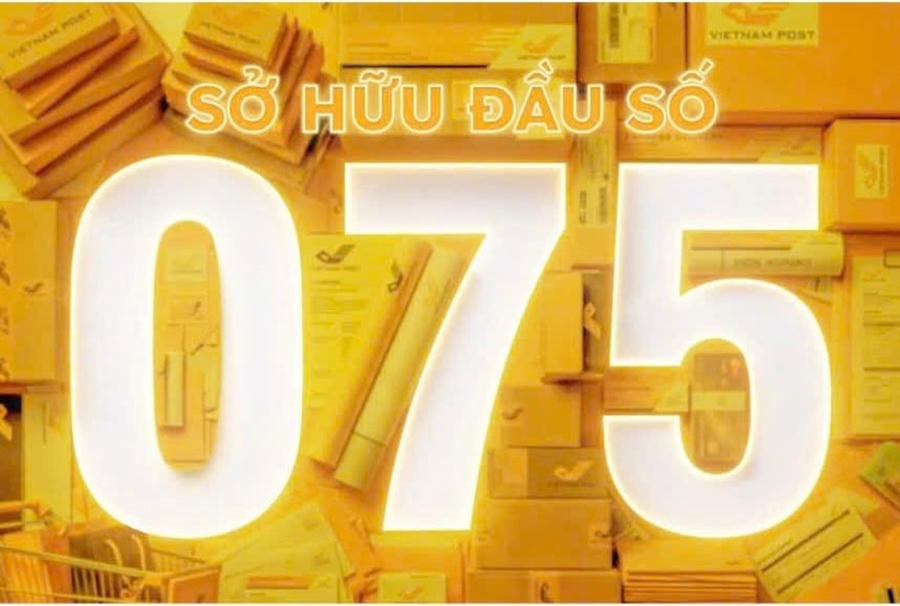 Vietnam Post đấu giá thành công đầu số di động 075.